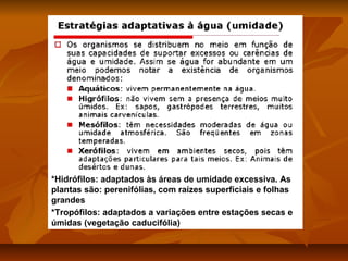 *Hidrófilos: adaptados às áreas de umidade excessiva. As
plantas são: perenifólias, com raízes superficiais e folhas
grandes
*Tropófilos: adaptados a variações entre estações secas e
úmidas (vegetação caducifólia)

 