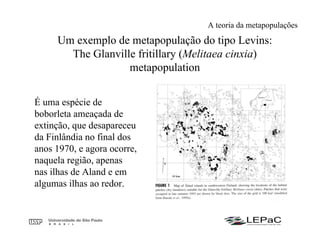 Um exemplo de metapopulação do tipo Levins:
The Glanville fritillary (Melitaea cinxia)
metapopulation
É uma espécie de
boborleta ameaçada de
extinção, que desapareceu
da Finlândia no final dos
anos 1970, e agora ocorre,
naquela região, apenas
nas ilhas de Aland e em
algumas ilhas ao redor.
A teoria da metapopulações
 