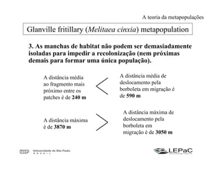 3. As manchas de habitat não podem ser demasiadamente
isoladas para impedir a recolonização (nem próximas
demais para formar uma única população).
Glanville fritillary (Melitaea cinxia) metapopulation
A distância média
ao fragmento mais
próximo entre os
patches é de 240 m
A distância média de
deslocamento pela
borboleta em migração é
de 590 m
A distância máxima
é de 3870 m
A distância máxima de
deslocamento pela
borboleta em
migração é de 3050 m
A teoria da metapopulações
 