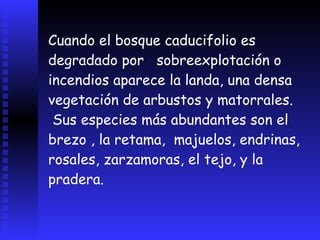 En el área oceánica de transición aparece el bosque marcescente.QuejigoRebollo