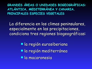 GRANDES ÁREAS O UNIDADES BOGEOGRÁFICAS: ATLÁNTICA, MEDITERRÁNEA Y CANARIA.PRINCIPALES ESPECIES VEGETALES La diferencia en los climas peninsulares, especialmente en las precipitaciones, condiciona tres regiones biogeográficas:la región eurosiberiana la región mediterránea la macaronesia