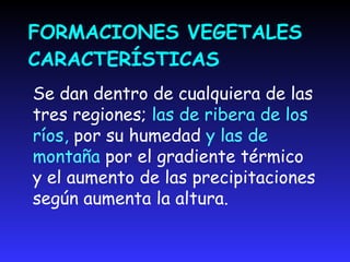 LA VEGETACIÓN DE RIBERALa presencia constante de agua en la ribera es un  factor fundamental. Presentan rasgos diferentes a la vegetación de su entornoSe disponen en franjas paralelas al río.La vegetación de ribera  está muy alterada por el hombre.