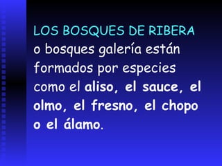 VEGETACIÓN DE RIBERA