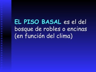 bosque de roblesbosque de encinas