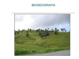 BIOGEOGRAFIA 