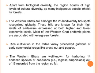  Apart from biological diversity, the region boasts of high
levels of cultural diversity, as many indigenous people inhabit
its forests.
 The Western Ghats are amongst the 25 biodiversity hot-spots
recognized globally. These hills are known for their high
levels of endemism expressed at both higher and lower
taxonomic levels. Most of the Western Ghat endemic plants
are associated with evergreen forests.
 Rice cultivation in the fertile valley proceeded gardens of
early commercial crops like areca nut and pepper.
 The Western Ghats are well-known for harboring 14
endemic species of caecilians (i.e., legless amphibians) out
of 15 recorded from the region so far.
 
