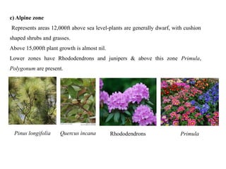 Biogeographical Zones of India: Its flora & Fauna.pptx