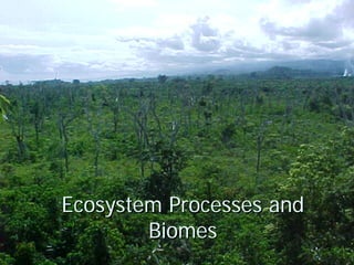 Ecosystem Processes and
        Biomes
 