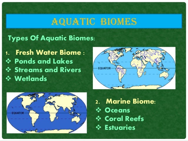 an paper on types of freshwater biomes an paper on types of freshwater biomes