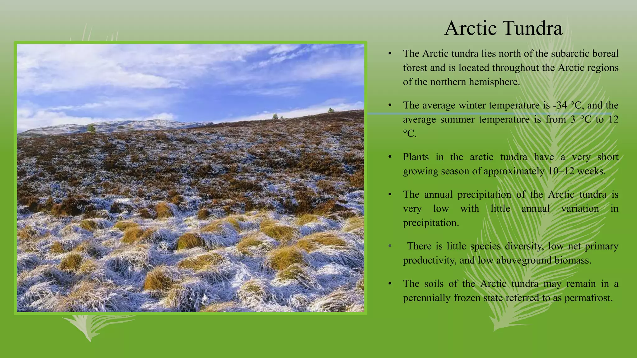 Biogeography Presentation.pptx