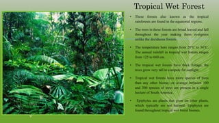 Tropical Wet Forest
• These forests also known as the tropical
rainforests are found in the equatorial regions.
• The trees in these forests are broad leaved and fall
throughout the year making them evergreen
unlike the deciduous forests.
• The temperature here ranges from 20°C to 34°C,
The annual rainfall in tropical wet forests ranges
from 125 to 660 cm.
• The tropical wet forests have thick foliage, the
trees grow very tall to compete for sunlight.
• Tropical wet forests have more species of trees
than any other biome; on average between 100
and 300 species of trees are present in a single
hectare of South America.
• Epiphytes are plants that grow on other plants,
which typically are not harmed. Epiphytes are
found throughout tropical wet forest biomes.
 
