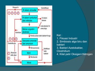 Ket :
1. Fiksasi Industri
2. Simbiosis alga biru dan
bakteri
3. Bakteri Azetobakter,
Clostridium
4. Kilat petir Oksigen+Nitrogen
 