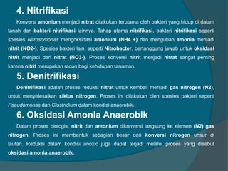 4. Nitrifikasi
Konversi amonium menjadi nitrat dilakukan terutama oleh bakteri yang hidup di dalam
tanah dan bakteri nitrifikasi lainnya. Tahap utama nitrifikasi, bakteri nitrifikasi seperti
spesies Nitrosomonas mengoksidasi amonium (NH4 +) dan mengubah amonia menjadi
nitrit (NO2-). Spesies bakteri lain, seperti Nitrobacter, bertanggung jawab untuk oksidasi
nitrit menjadi dari nitrat (NO3-). Proses konversi nitrit menjadi nitrat sangat penting
karena nitrit merupakan racun bagi kehidupan tanaman.
5. Denitrifikasi
Denitrifikasi adalah proses reduksi nitrat untuk kembali menjadi gas nitrogen (N2),
untuk menyelesaikan siklus nitrogen. Proses ini dilakukan oleh spesies bakteri seperti
Pseudomonas dan Clostridium dalam kondisi anaerobik.
6. Oksidasi Amonia Anaerobik
Dalam proses biologis, nitrit dan amonium dikonversi langsung ke elemen (N2) gas
nitrogen. Proses ini membentuk sebagian besar dari konversi nitrogen unsur di
lautan. Reduksi dalam kondisi anoxic juga dapat terjadi melalui proses yang disebut
oksidasi amonia anaerobik.
 