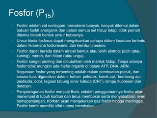 Fosfor (P15)
 Fosfor adalah zat nonlogam, bervalensi banyak, banyak ditemui dalam
batuan fosfat anorganik dan dalam semua sel hidup tetapi tidak pernah
ditemui dalam bentuk unsur bebasnya.
 Unsur kimia fosforus dapat mengeluarkan cahaya dalam keadaan tertentu,
dalam fenomena fosforesens, dan kemiluminesens.
 Fosfor dapat berada dalam empat bentuk atau lebih alotrop: putih (atau
kuning), merah, dan hitam (atau ungu).
 Fosfor sangat penting dan dibutuhkan oleh mahluk hidup. Tanpa adanya
fosfor tidak mungkin ada fosfor organik di dalam ATP, DNA. ARN.
 Kegunaan fosfor yang terpenting adalah dalam pembuatan pupuk, dan
secara luas digunakan dalam bahan peledak, korek api, kembang api,
pestisida, odol, ragaan tabung sinar katoda (CRT), lampu fluoresen dan
deterjen.
 Penyalahgunan fosfor menjadi Bom, setelah penggunaannya fosfor akan
menempel di tubuh korban dan terus membakar serta menyebabkan nyeri
berkepanjangan. Korban akan mengelurkan gas fosfor hingga meninggal.
Fosfor bomb memiliki sifat utama membakar.
 