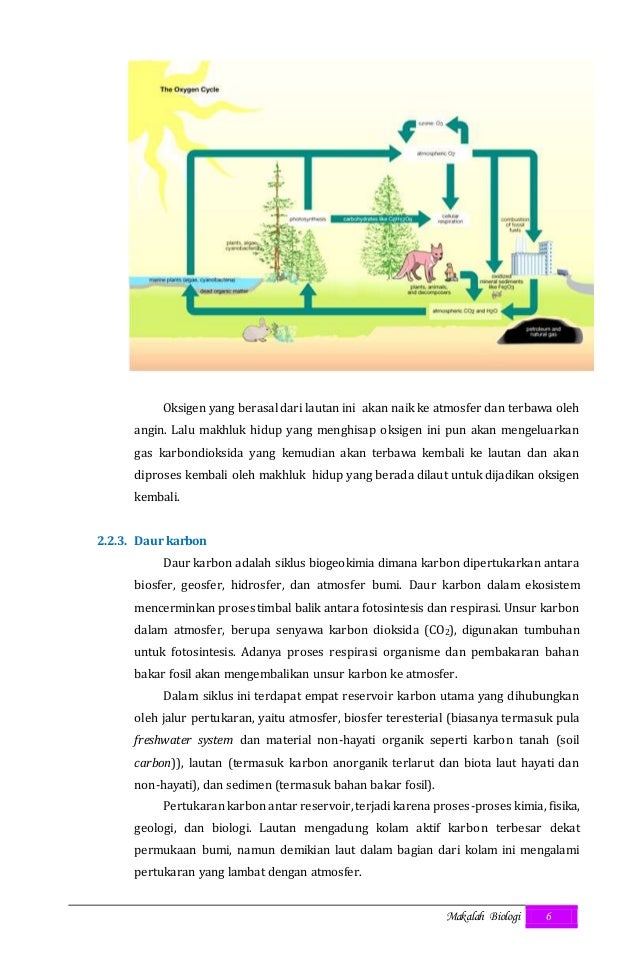 Biogeokimia dan pencemaran