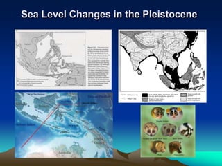 Biogeo lec 7 glaciation and the pleistocene | PPT