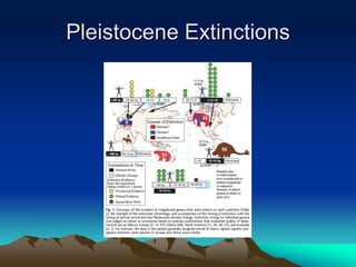 Biogeo lec 7 glaciation and the pleistocene | PPT