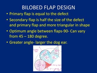 Comprehensive Biogeometry and Techniques of Local Flaps in Plastic ...