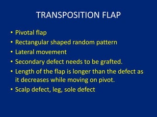 Comprehensive Biogeometry and Techniques of Local Flaps in Plastic ...