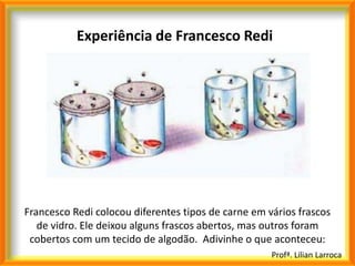 Experiência de Francesco Redi




Francesco Redi colocou diferentes tipos de carne em vários frascos
   de vidro. Ele deixou alguns frascos abertos, mas outros foram
 cobertos com um tecido de algodão. Adivinhe o que aconteceu:
                                                     Profª. Lilian Larroca
 