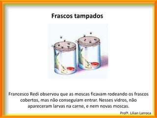 Frascos tampados




Francesco Redi observou que as moscas ficavam rodeando os frascos
     cobertos, mas não conseguiam entrar. Nesses vidros, não
         apareceram larvas na carne, e nem novas moscas.
                                                   Profª. Lilian Larroca
 
