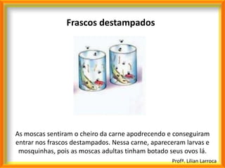 Frascos destampados




As moscas sentiram o cheiro da carne apodrecendo e conseguiram
entrar nos frascos destampados. Nessa carne, apareceram larvas e
 mosquinhas, pois as moscas adultas tinham botado seus ovos lá.
                                                   Profª. Lilian Larroca
 