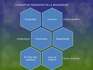 Mutación Código genéticoEvolución
Fotosíntesismetabolismo Respiración
Ciclo de
oxigeno
Factor limitante
El ciclo del
carbono
CONCEPTOS PRESENTES EN LA BIOGENESIS