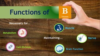Functions of BVitamin
Metabolism
Cell Division
Necessary for…
Muscle
Maintaining….
Brain Function
Nerve
 