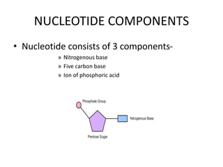 NUCLEOTIDE COMPONENTS
• Nucleotide consists of 3 components-
» Nitrogenous base
» Five carbon base
» Ion of phosphoric acid
 