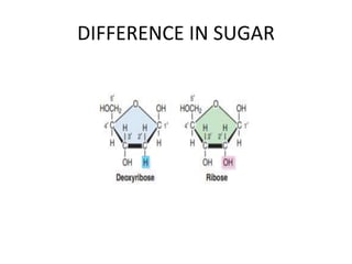 DIFFERENCE IN SUGAR
 