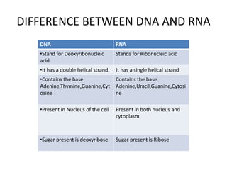 DIFFERENCE BETWEEN DNA AND RNA
DNA RNA
•Stand for Deoxyribonucleic
acid
Stands for Ribonucleic acid
•It has a double helical strand. It has a single helical strand
•Contains the base
Adenine,Thymine,Guanine,Cyt
osine
Contains the base
Adenine,Uracil,Guanine,Cytosi
ne
•Present in Nucleus of the cell Present in both nucleus and
cytoplasm
•Sugar present is deoxyribose Sugar present is Ribose
 