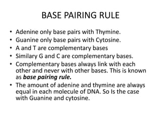 BASE PAIRING RULE
• Adenine only base pairs with Thymine.
• Guanine only base pairs with Cytosine.
• A and T are complementary bases
• Similary G and C are complementary bases.
• Complementary bases always link with each
other and never with other bases. This is known
as base pairing rule.
• The amount of adenine and thymine are always
equal in each molecule of DNA. So Is the case
with Guanine and cytosine.
 
