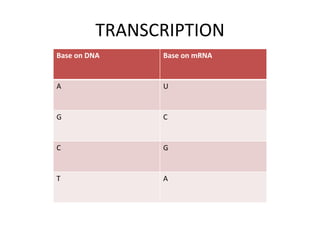 TRANSCRIPTION
Base on DNA Base on mRNA
A U
G C
C G
T A
 