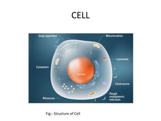 CELL
Fig:- Structure of Cell
 