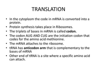 TRANSLATION
• In the cytoplasm the code in mRNA is converted into a
protein.
• Protein synthesis takes place in Ribosomes.
• The triplets of bases in mRNA is called codon.
• The codon AUG AND CUG are the initiation codon that
codes for the amino acid methionine.
• The mRNA attaches to the ribosome.
• tRNA has anticodon arm that is complementary to the
bases of mRNA
• Other end of tRNA is a site where a specific amino acid
can attach.
 