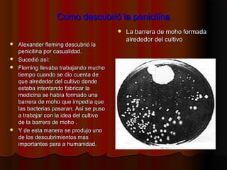 Como descubrió la penicilinaComo descubrió la penicilina
 Alexander fleming descubrió laAlexander fleming descubrió la
penicilina por casualidad.penicilina por casualidad.
 Sucedió así:Sucedió así:
 Fleming llevaba trabajando muchoFleming llevaba trabajando mucho
tiempo cuando se dio cuenta detiempo cuando se dio cuenta de
que alrededor del cultivo dondeque alrededor del cultivo donde
estaba intentando fabricar laestaba intentando fabricar la
medicina se había formado unamedicina se había formado una
barrera de moho que impedía quebarrera de moho que impedía que
las bacterias pasaran. Así se pusolas bacterias pasaran. Así se puso
a trabajar con la idea del cultivoa trabajar con la idea del cultivo
de la barrera de moho .de la barrera de moho .
 Y de esta manera se produjo unoY de esta manera se produjo uno
de los descubrimientos masde los descubrimientos mas
importantes para a humanidad.importantes para a humanidad.
 La barrera de moho formadaLa barrera de moho formada
alrededor del cultivoalrededor del cultivo
 