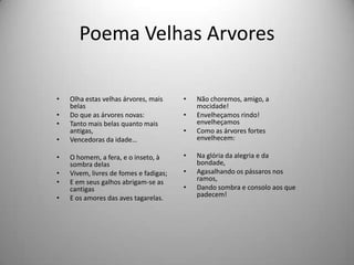 • Olha estas velhas árvores, mais
belas
• Do que as árvores novas:
• Tanto mais belas quanto mais
antigas,
• Vencedoras da idade…
• O homem, a fera, e o inseto, à
sombra delas
• Vivem, livres de fomes e fadigas;
• E em seus galhos abrigam-se as
cantigas
• E os amores das aves tagarelas.
Poema Velhas Arvores
• Não choremos, amigo, a
mocidade!
• Envelheçamos rindo!
envelheçamos
• Como as árvores fortes
envelhecem:
• Na glória da alegria e da
bondade,
• Agasalhando os pássaros nos
ramos,
• Dando sombra e consolo aos que
padecem!
 