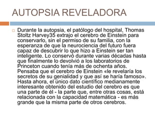 AUTOPSIA REVELADORA
 Durante la autopsia, el patólogo del hospital, Thomas
Stoltz Harvey35 extrajo el cerebro de Einstein para
conservarlo, sin el permiso de su familia, con la
esperanza de que la neurociencia del futuro fuera
capaz de descubrir lo que hizo a Einstein ser tan
inteligente. Lo conservó durante varias décadas hasta
que finalmente lo devolvió a los laboratorios de
Princeton cuando tenía más de ochenta años.
Pensaba que el cerebro de Einstein «le revelaría los
secretos de su genialidad y que así se haría famoso».
Hasta ahora, el único dato científico medianamente
interesante obtenido del estudio del cerebro es que
una parte de él - la parte que, entre otras cosas, está
relacionada con la capacidad matemática - es más
grande que la misma parte de otros cerebros.
 