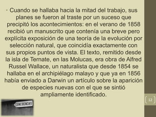 • Cuando se hallaba hacia la mitad del trabajo, sus
planes se fueron al traste por un suceso que
precipitó los acontecimientos: en el verano de 1858
recibió un manuscrito que contenía una breve pero
explícita exposición de una teoría de la evolución por
selección natural, que coincidía exactamente con
sus propios puntos de vista. El texto, remitido desde
la isla de Ternate, en las Molucas, era obra de Alfred
Russel Wallace, un naturalista que desde 1854 se
hallaba en el archipiélago malayo y que ya en 1856
había enviado a Darwin un artículo sobre la aparición
de especies nuevas con el que se sintió
ampliamente identificado.
12
 
