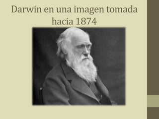 Darwin en una imagen tomada
hacia 1874
 