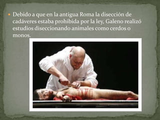 El gran prestigio del que gozó, no limitado a Roma, se debió en parte a su gran actividad literaria, con más de cuatrocientos textos, de los que nos han llegado unos 150.SU OBRA La obra de Galeno se basa en la tradición hipocrática, a la que une elementos del pensamiento de Platón y Aristóteles, que recibe a través del estoicismo de Posidonio.PRINCIPALES LOGROS DE GALENO EN LA MEDICINADemostró cómo diversos músculos son controlados por la médula espinal.