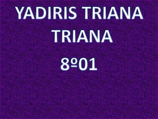 Biografia de rafael  pombo