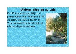 Últimos años de su vida
En 1933 se publica en Méjico el
poema: Oda a Walt Whitman. El 19
de agosto de 1936 lo fusilan en
Vizar (Granada) En la foto sale el
olivo en el que lo fusilaron.
 