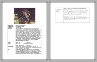 Biogram of wild_carnivores of Pakistan | PDF