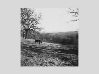Katharine Patience Hague - Part 2, Biographical photographs 1916 -1946