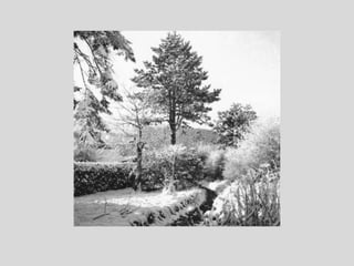 Katharine Patience Hague - Part 2, Biographical photographs 1916 -1946