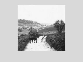 Katharine Patience Hague - Part 2, Biographical photographs 1916 -1946