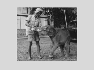 Katharine Patience Hague - Part 2, Biographical photographs 1916 -1946