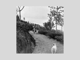 Katharine Patience Hague - Part 2, Biographical photographs 1916 -1946