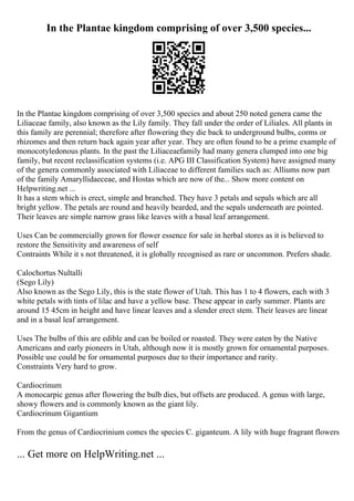 Biography Essay Graphic Organizer | PDF